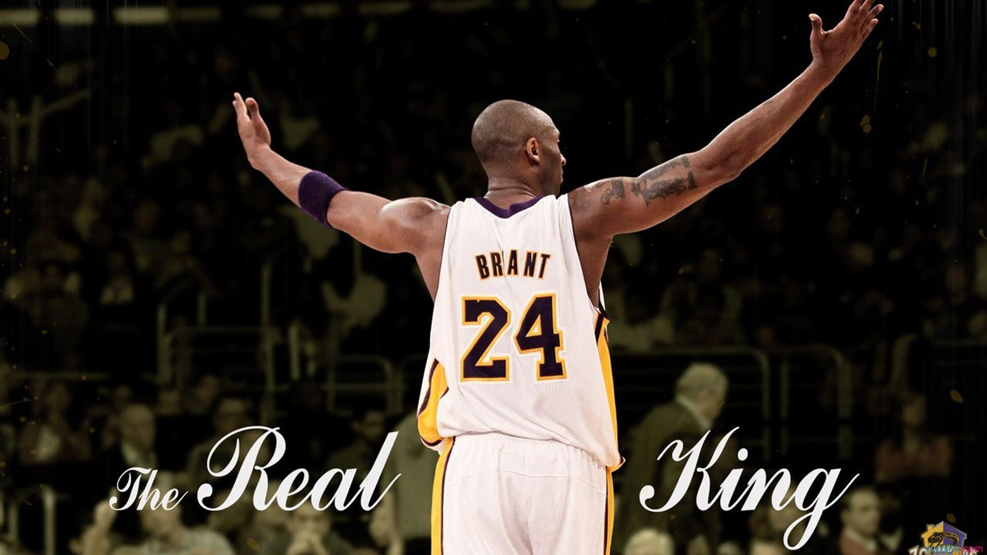 名宿直言像“局外人”:凯恩第一替补,24岁彻底迷失在了慕尼黑